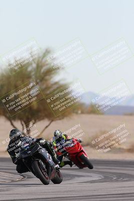 media/Nov-30-2025-TrackXperience (Sun) [[c0061d280f]]/2-Level 2/Session 6 Turn 4 Tree of Life/